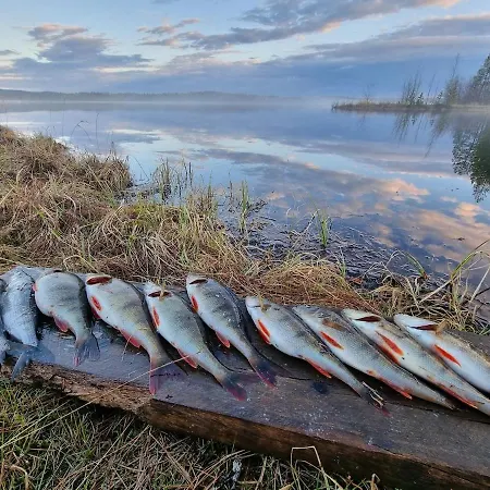 Kiekeroenmaa Villa *