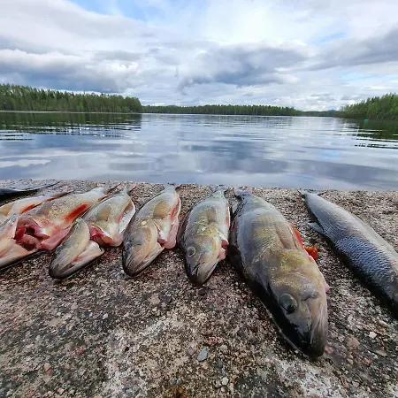 Kiekeroenmaa