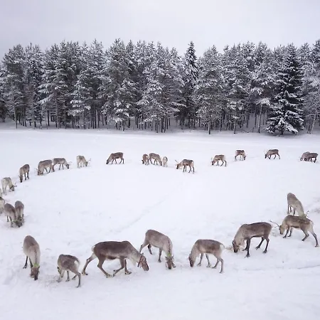 Kiekeroenmaa Villa Kuusamo