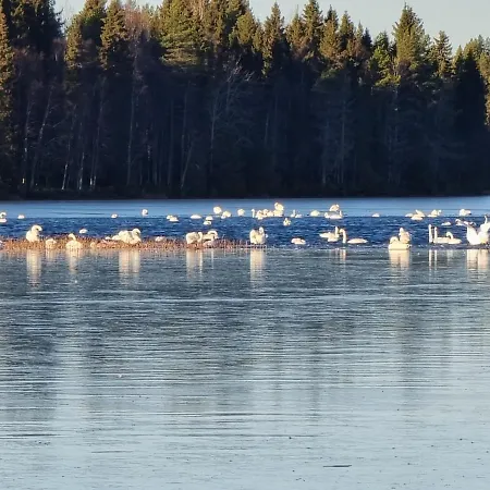 Villa Kiekeroenmaa Kuusamo