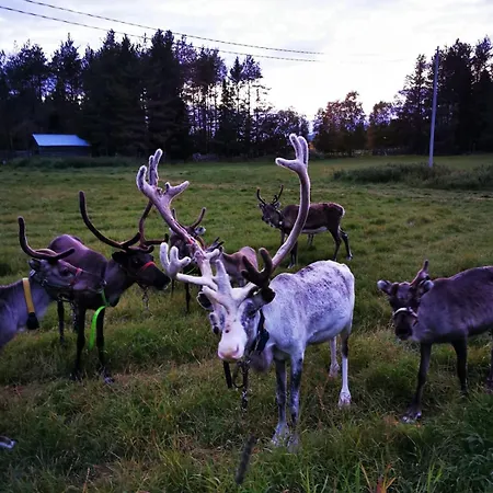 Kiekeroenmaa Villa Kuusamo