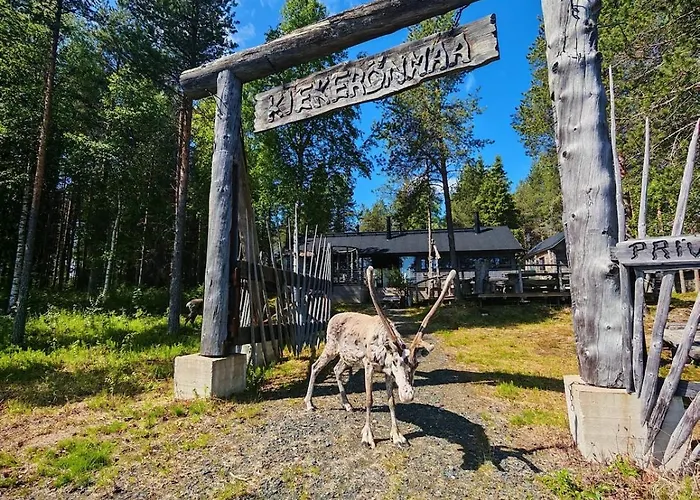 Kiekeroenmaa 别墅 *