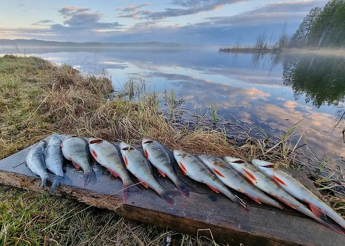 Kiekeroenmaa 别墅 *