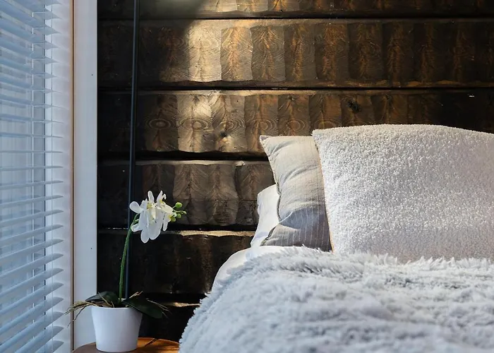 Kiekeroenmaa 别墅 *