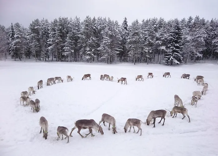 Kiekeroenmaa 别墅 库萨莫