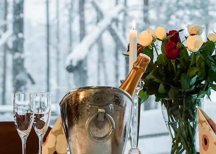 Kiekeroenmaa 别墅 *