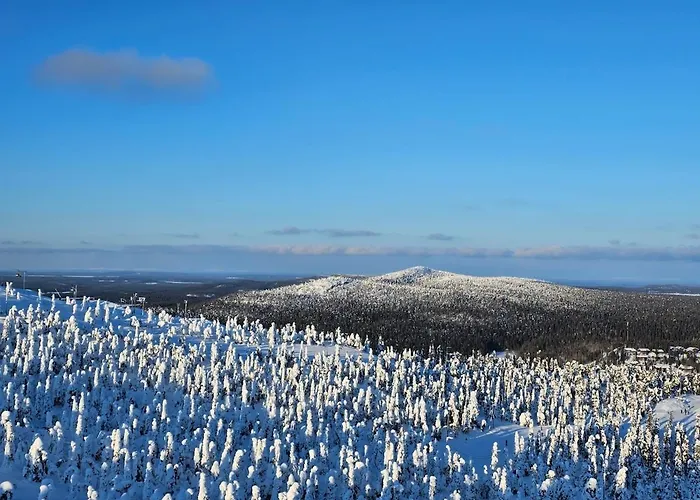 Kiekeroenmaa 别墅 库萨莫
