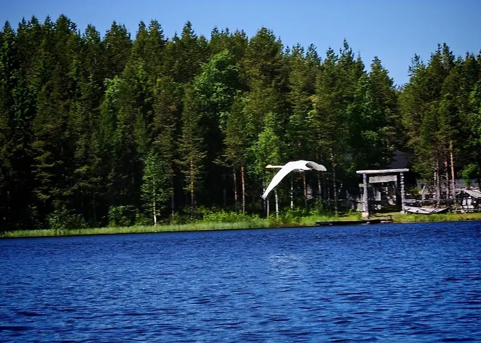 Kiekeroenmaa 别墅 库萨莫