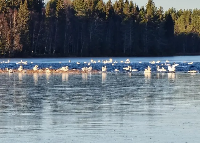 别墅 Kiekeroenmaa 库萨莫
