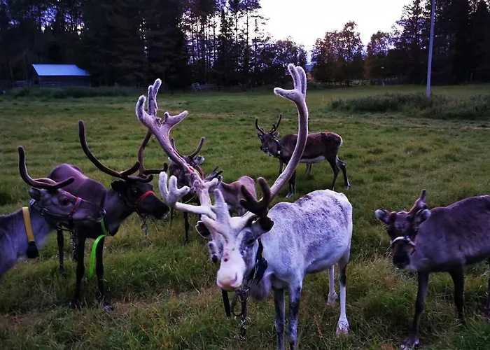 Kiekeroenmaa 别墅 库萨莫