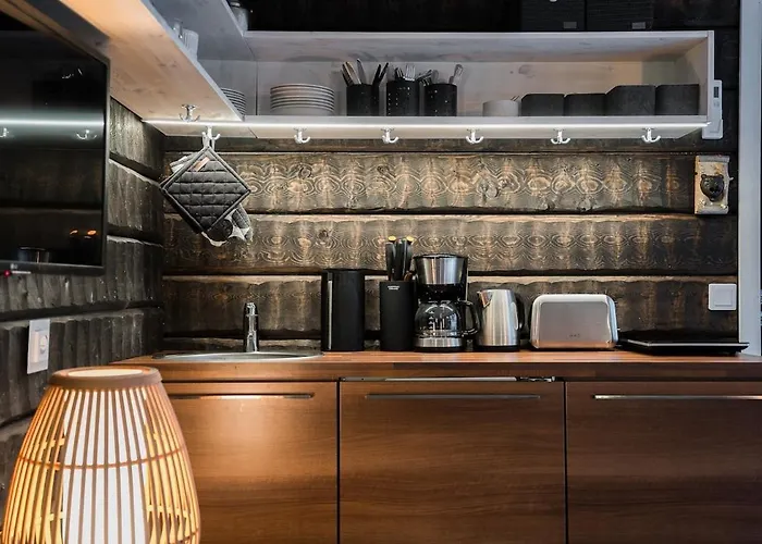 别墅 Kiekeroenmaa 库萨莫